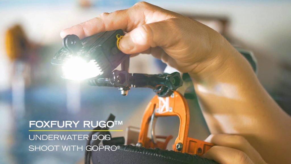 Rugo™ - Underwater Dog Photography